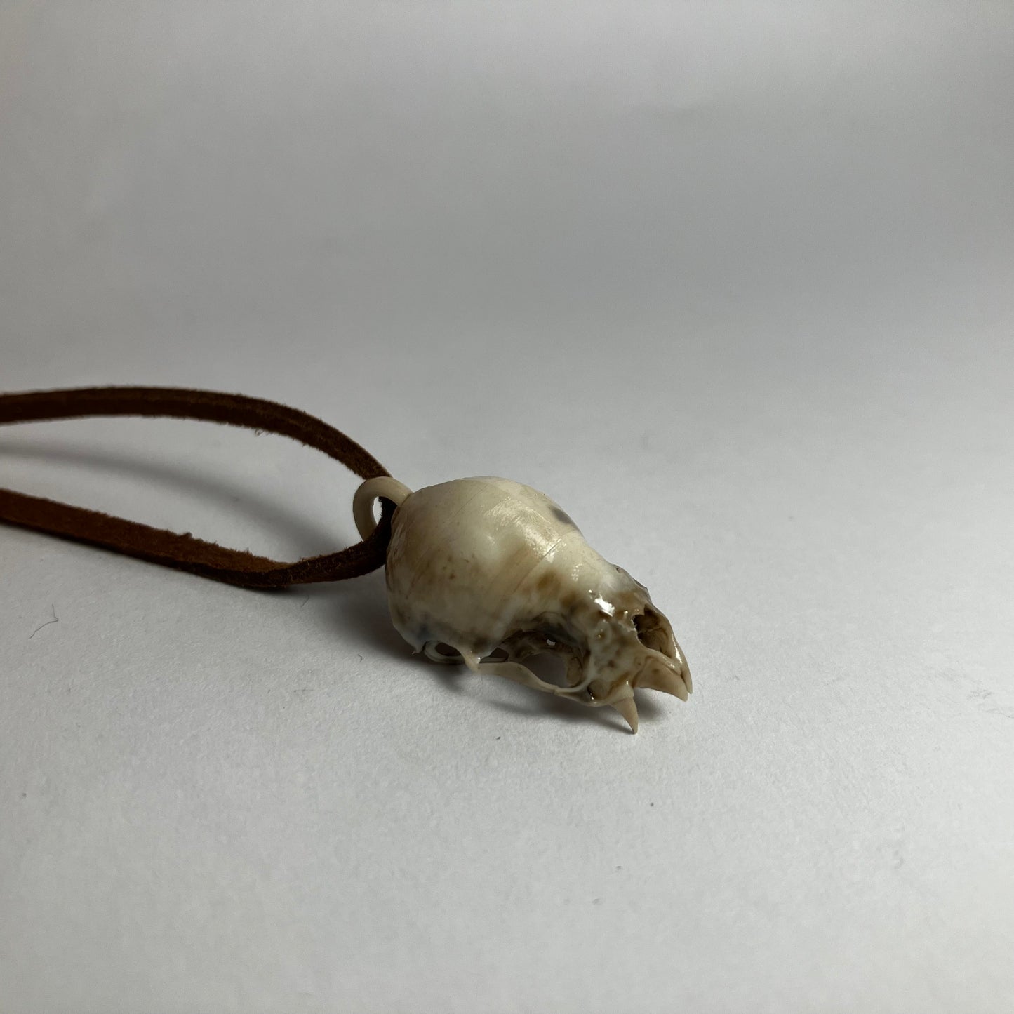 Vampire Bat Skull Pendant Necklace