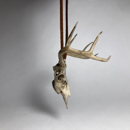 Deer Skull Necklace