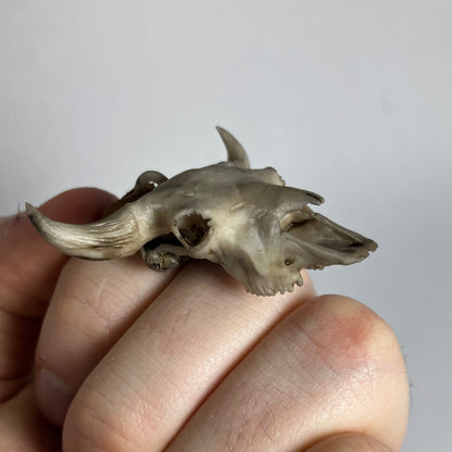 Bison Skull Necklace