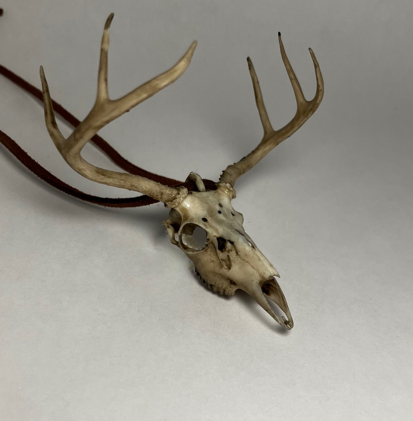 Deer Skull Necklace