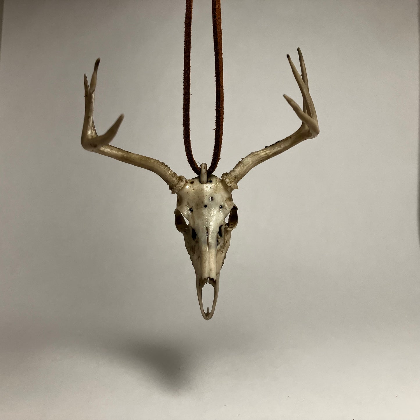 Deer Skull Necklace