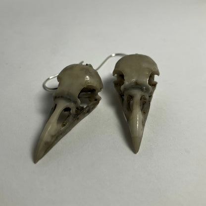 Raven Skull Earrings