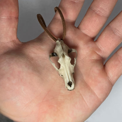 Wolf Skull Necklace