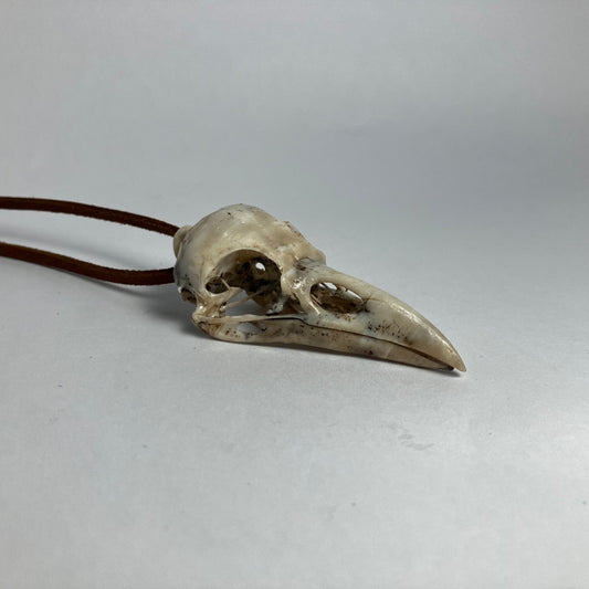 Raven Skull Necklace