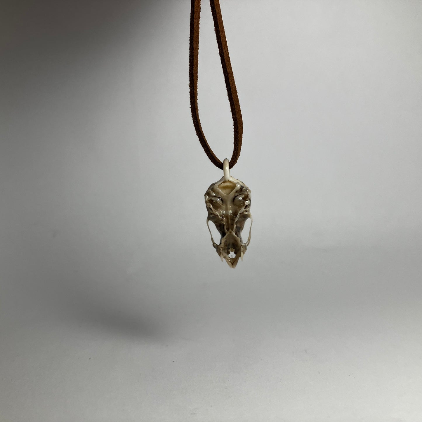 Vampire Bat Skull Pendant Necklace