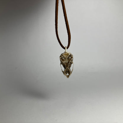 Vampire Bat Skull Pendant Necklace