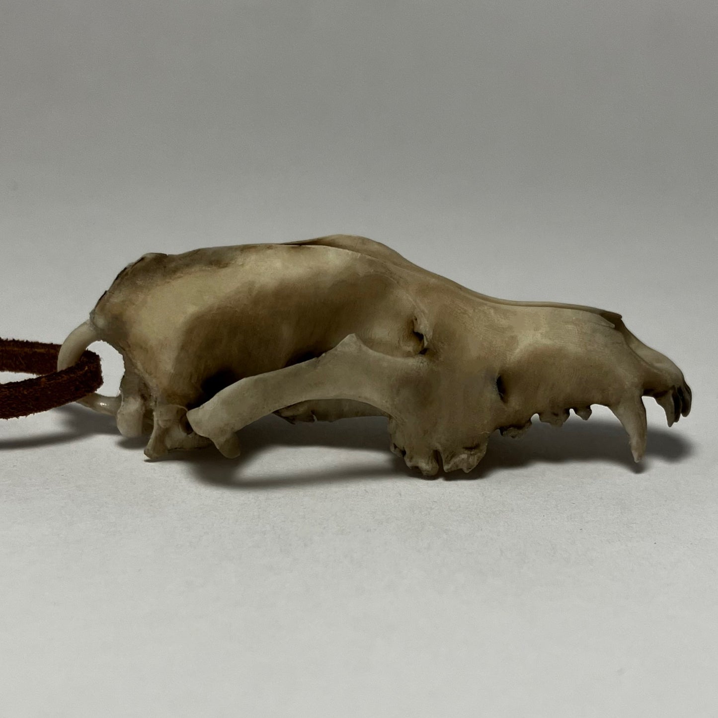 Wolf Skull Necklace