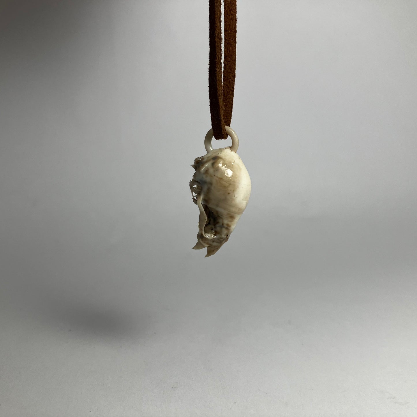 Vampire Bat Skull Pendant Necklace