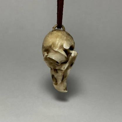 Owl Skull Necklace