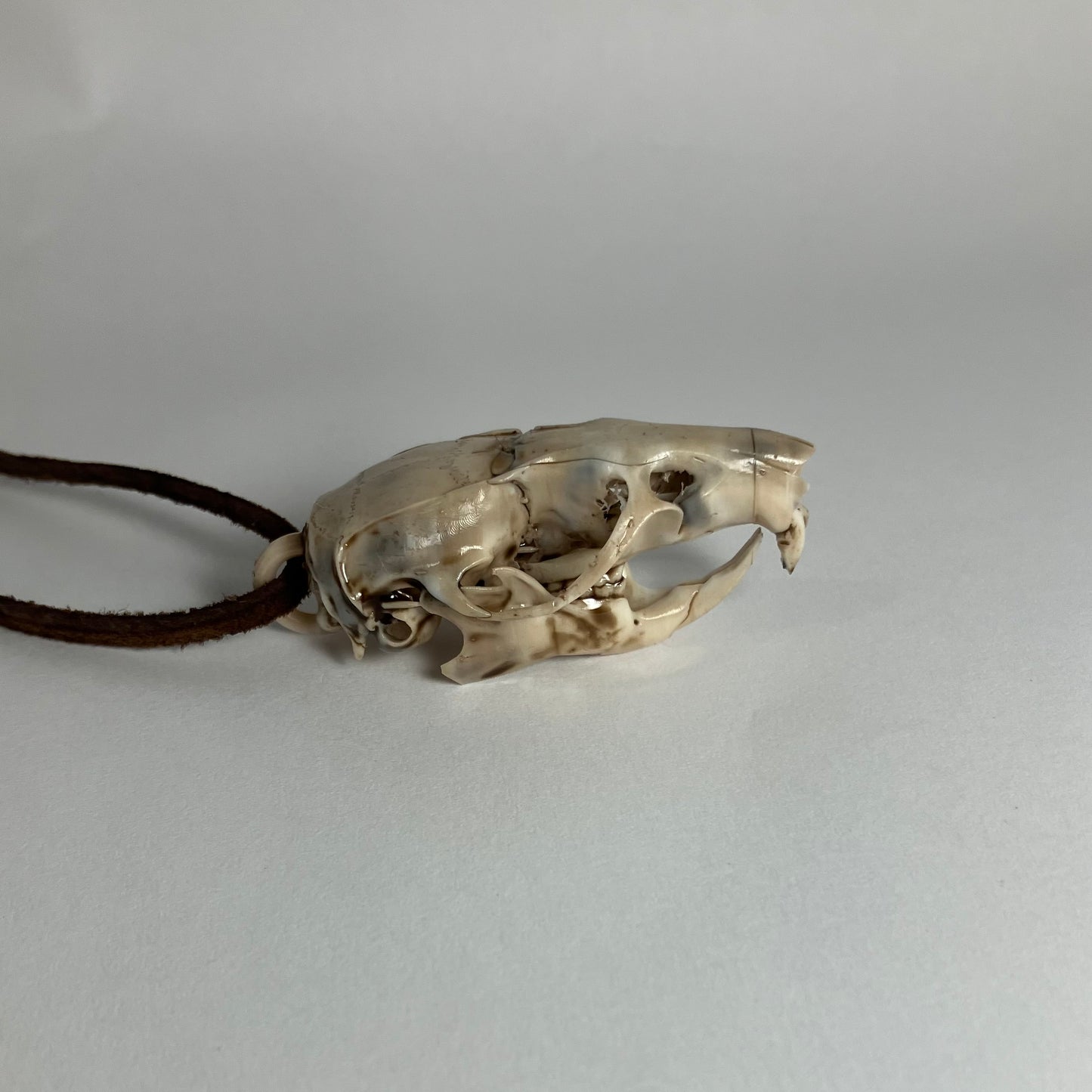 Rat Skull Pendant Necklace