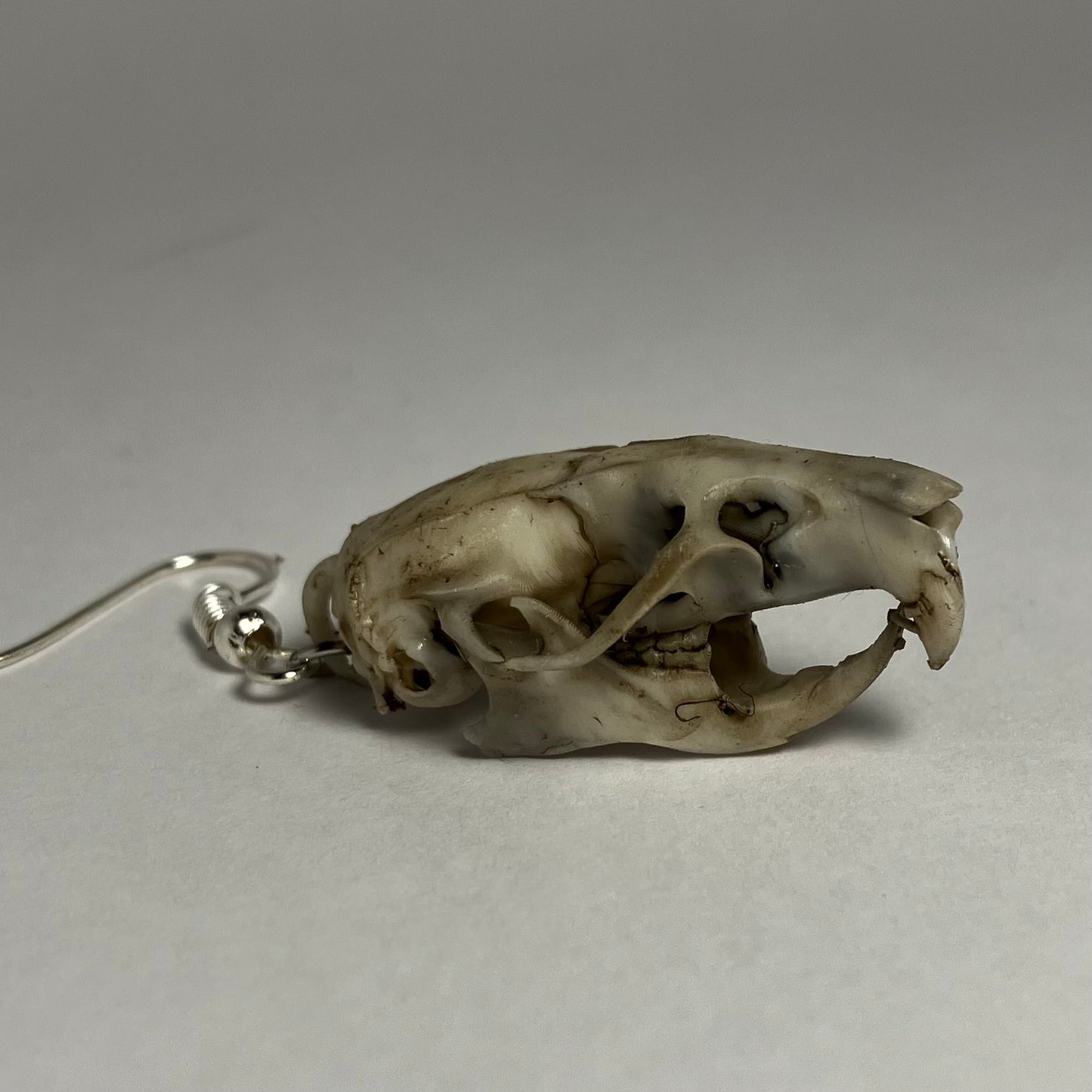 Rat Skull Earrings