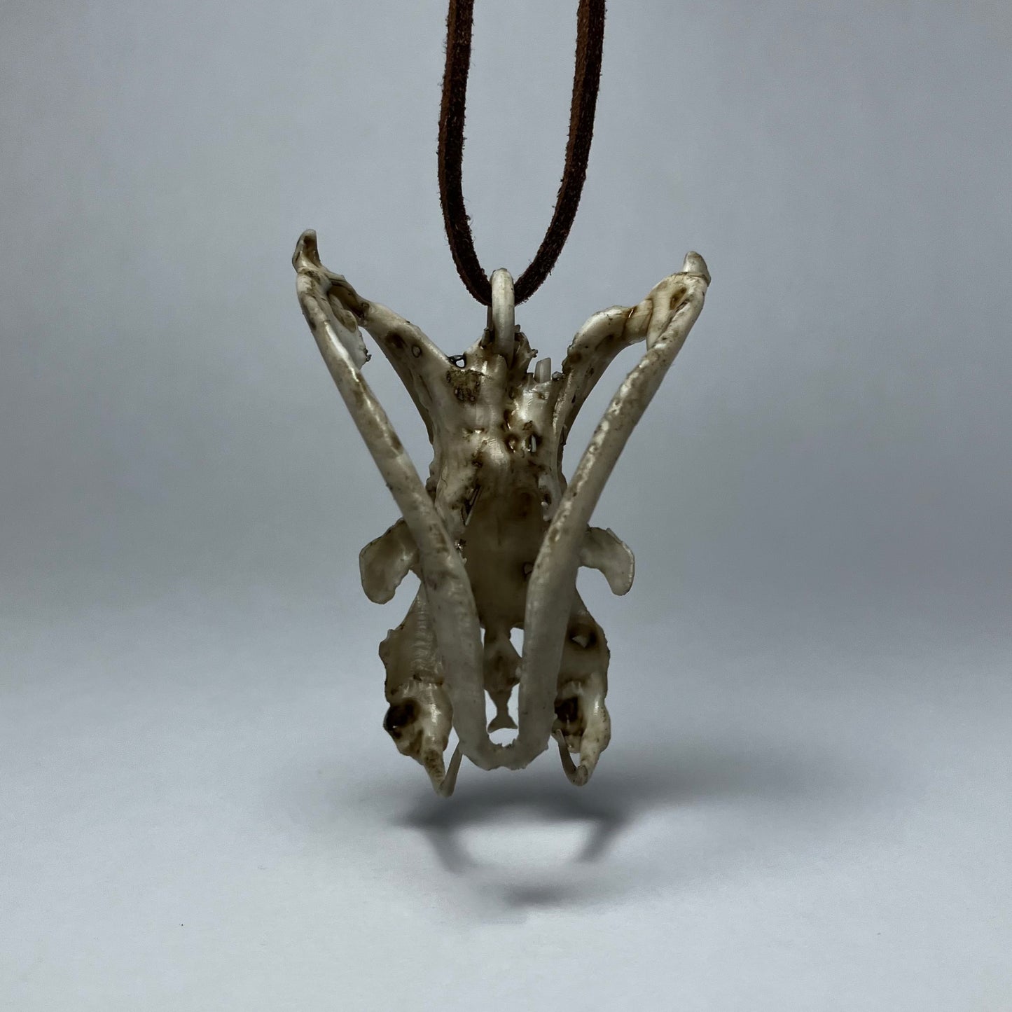 Snake Skull Necklace