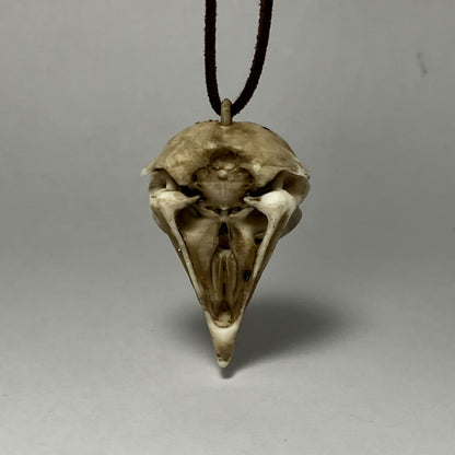 Owl Skull Necklace