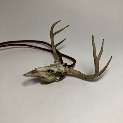 Deer Skull Necklace