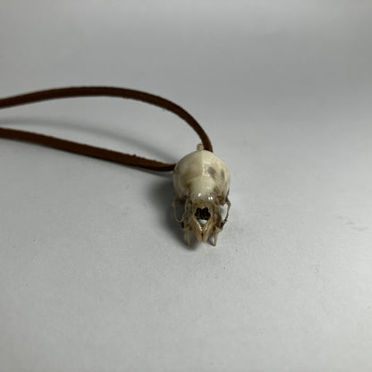 Vampire Bat Skull Pendant Necklace