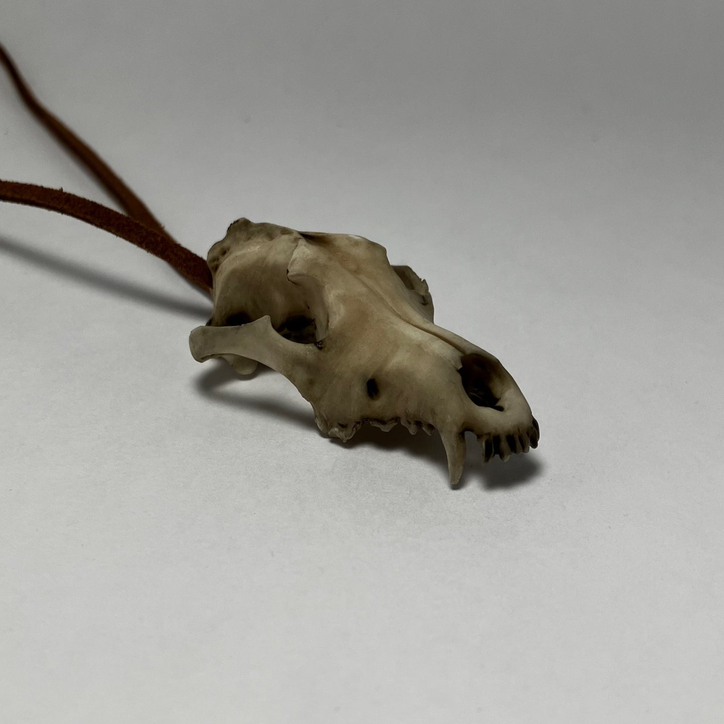 Wolf Skull Necklace